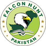 FalconHunt Logo, FalconHunt Logo, FalconHunt